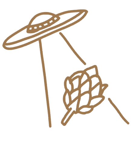 Icon-Illustrations-03-transparent.gif