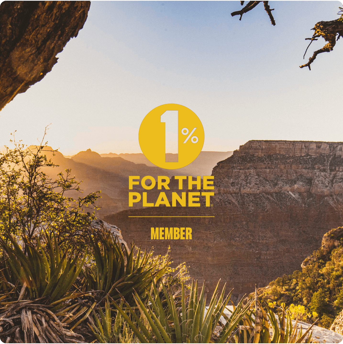 Vast canyon with sunlight streaming in from the left side, with the statement "1% for the Planet Member" overlaid on top.