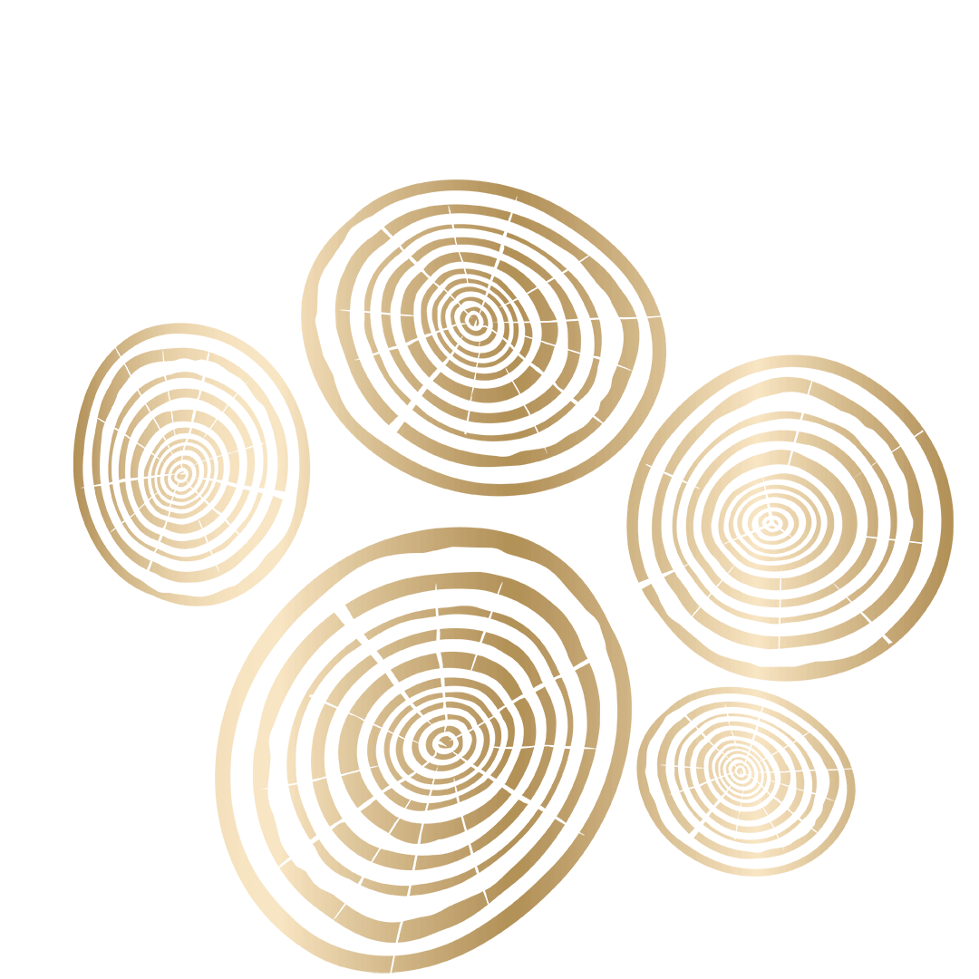 La Folie Sour Brown Ale New Belgium Brewing