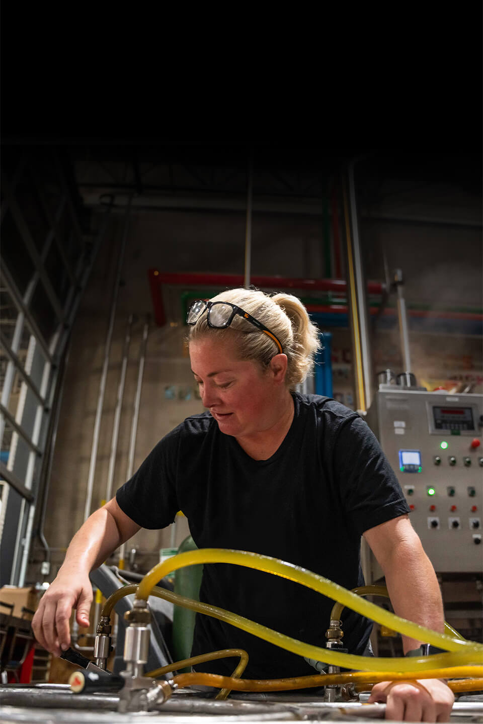 bdq 2024 kelly 960x1440