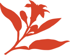 botanical dominga icon