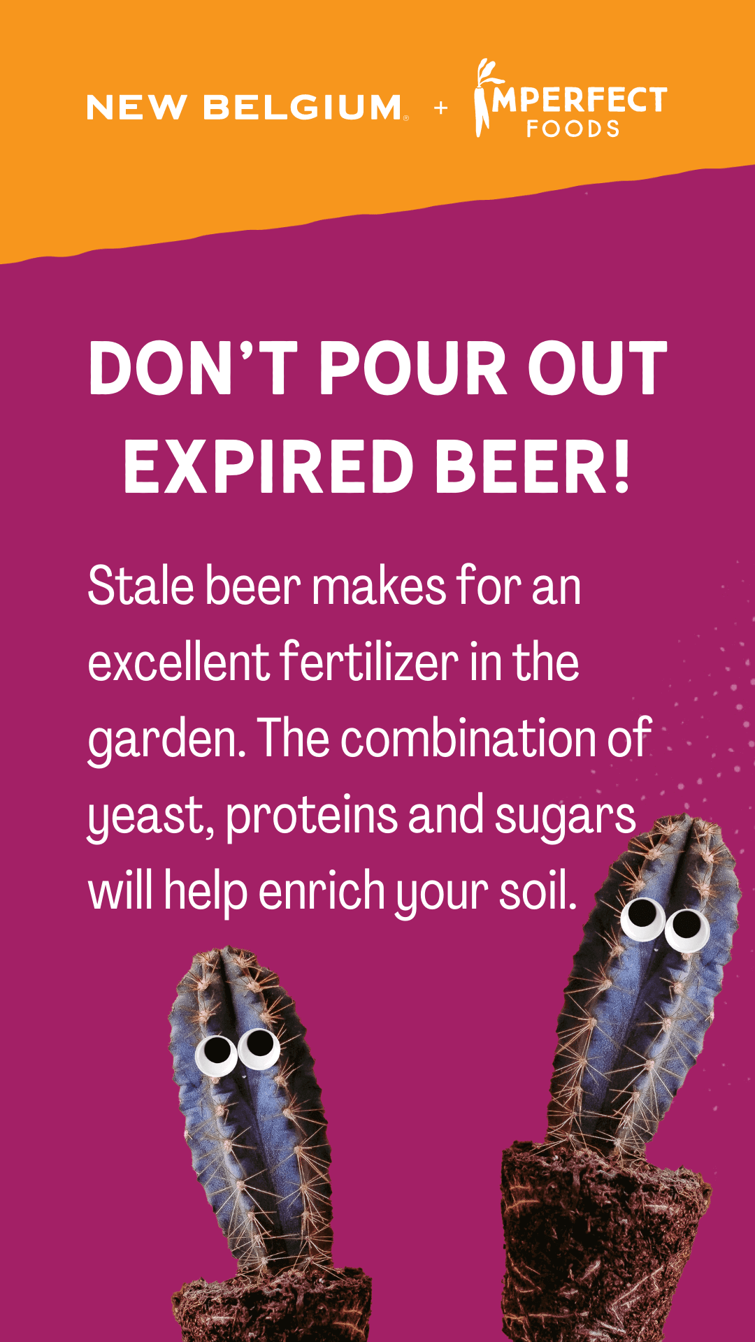 Don't pour out expired beer! Stale beer makes excellent fertilizer in the garden. The combination of yeast, proteins and sugars will help enrich your soil. 
