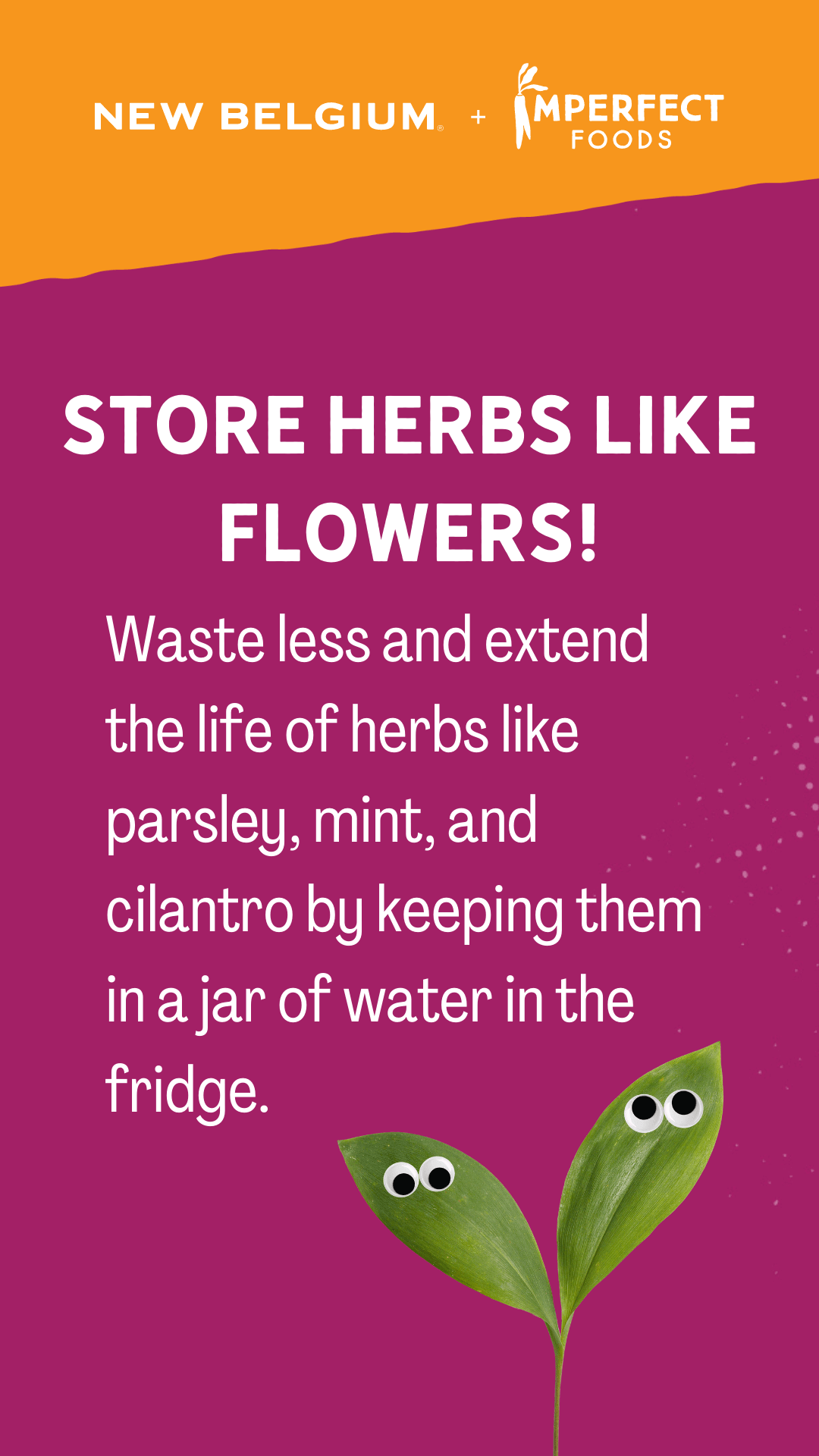 Store herbs like flowers! Waste less and extend the life of herbs like parsley, mint, and cilantro by keeping them in a jar of water in the fridge.