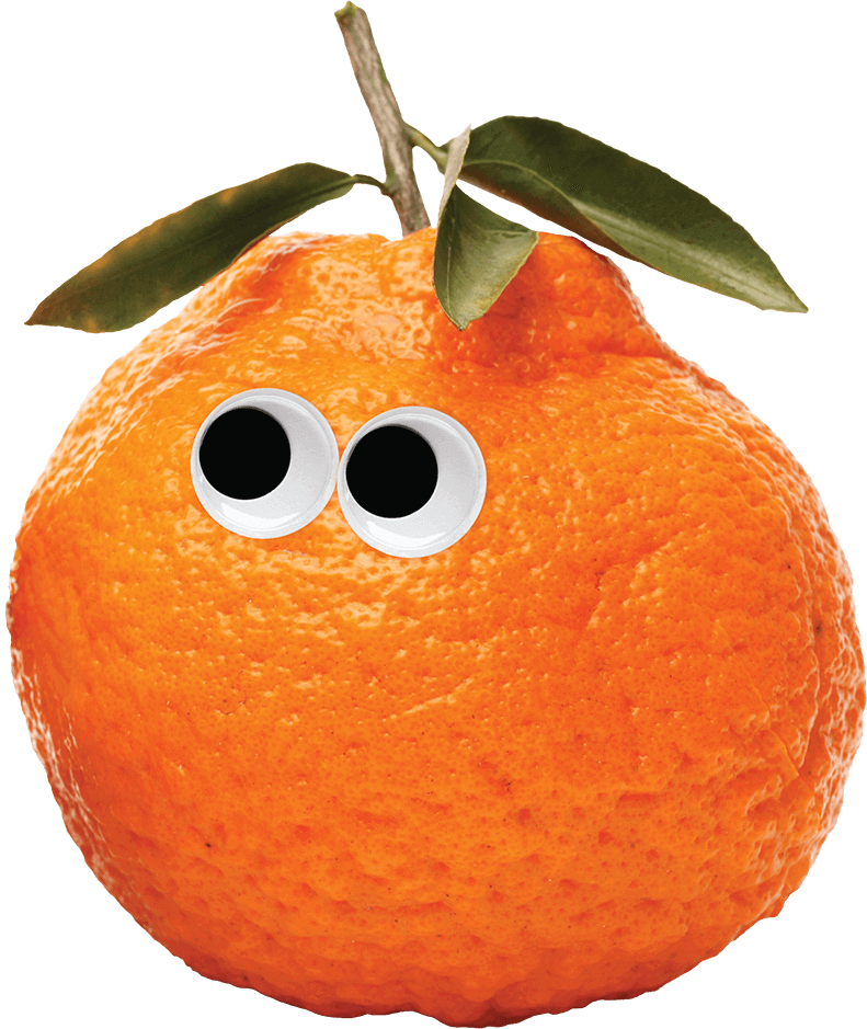 Orange Eyes Up Left small