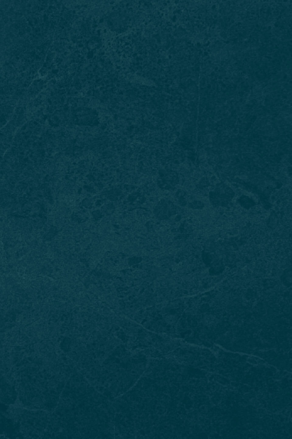 NBB CrownedInChaos WebAssets 960x1440 2026