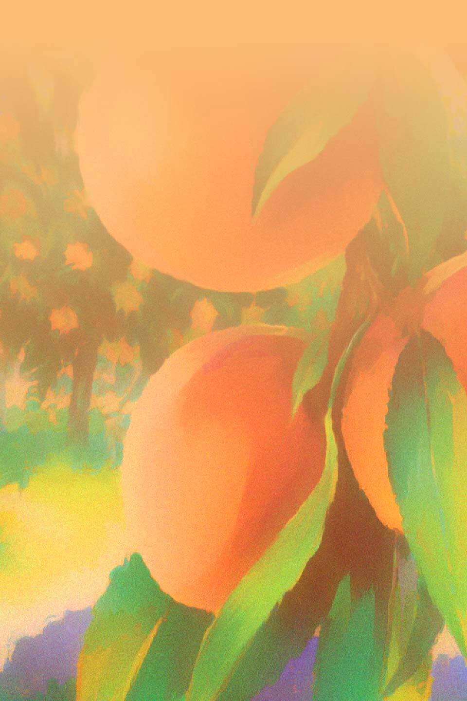 nbb devilsfoot peachbellini web background 960x1440