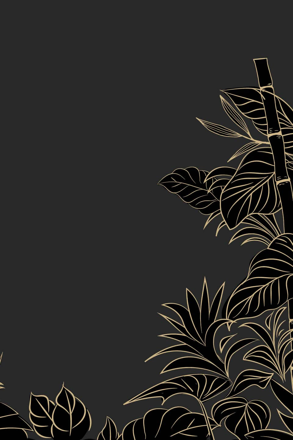 nbb la folie thai tea background m