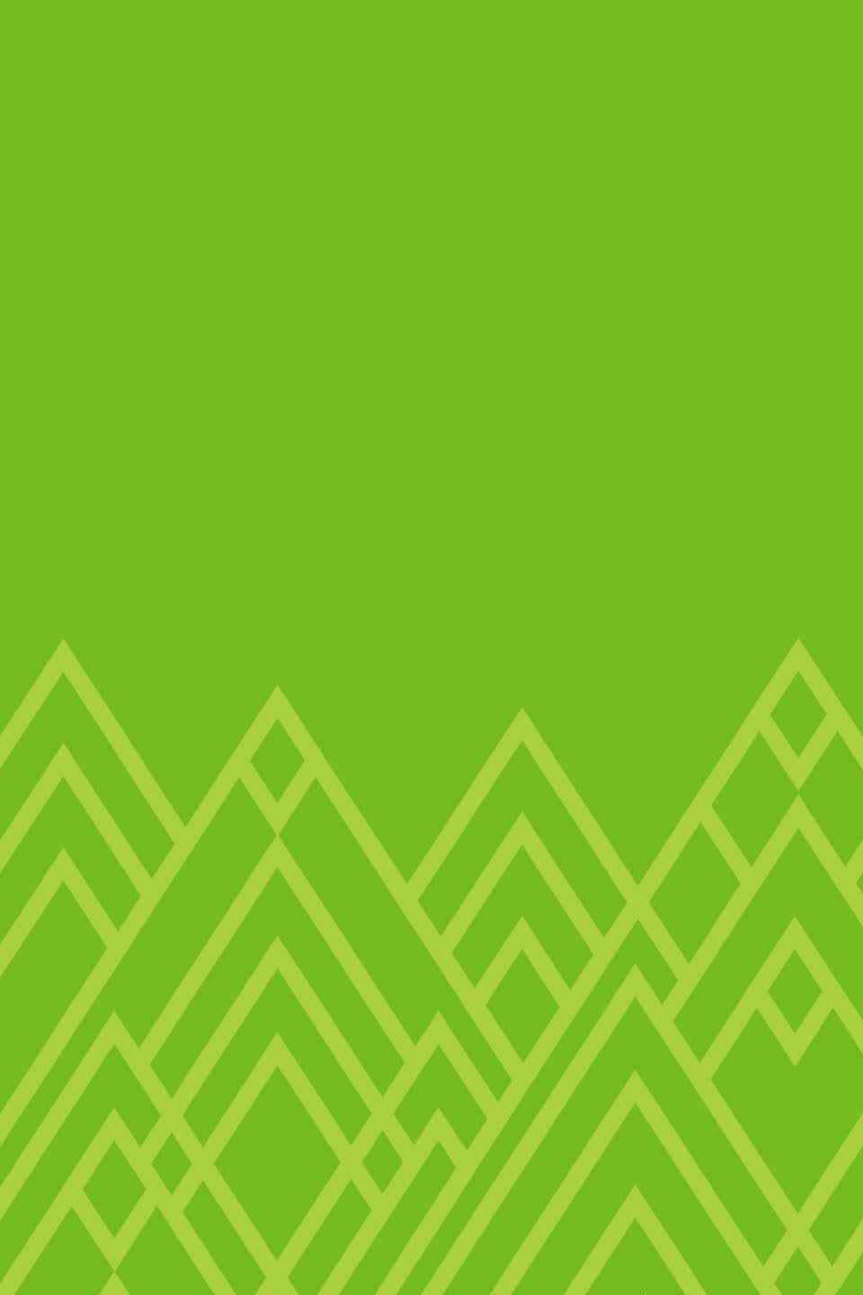 MTL Lime WebAsset PageHeader 960x1440
