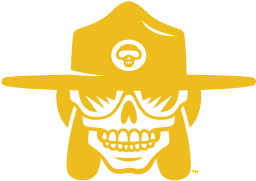 voodoo ranger icon