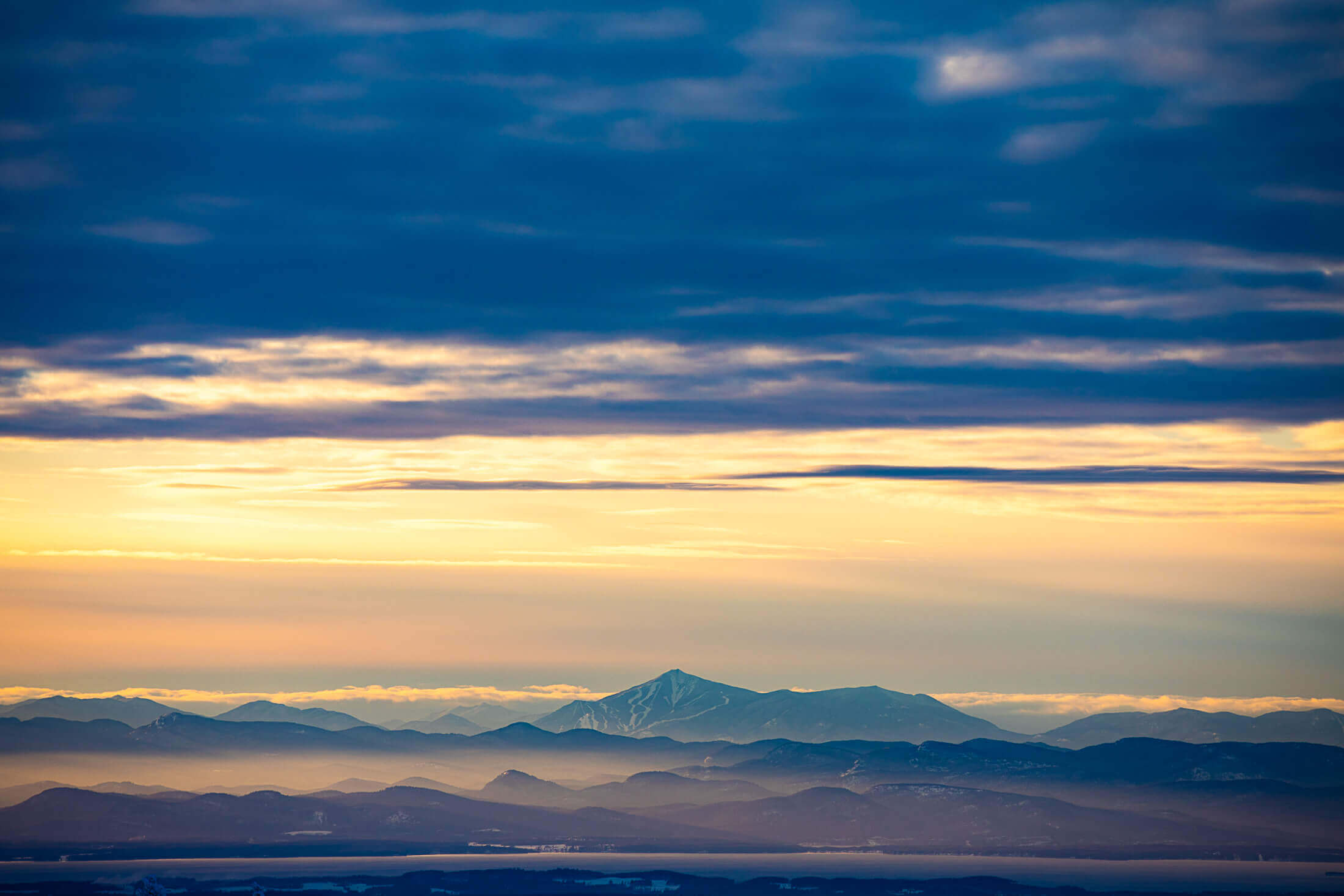 20 01 Vermont Roose 5331