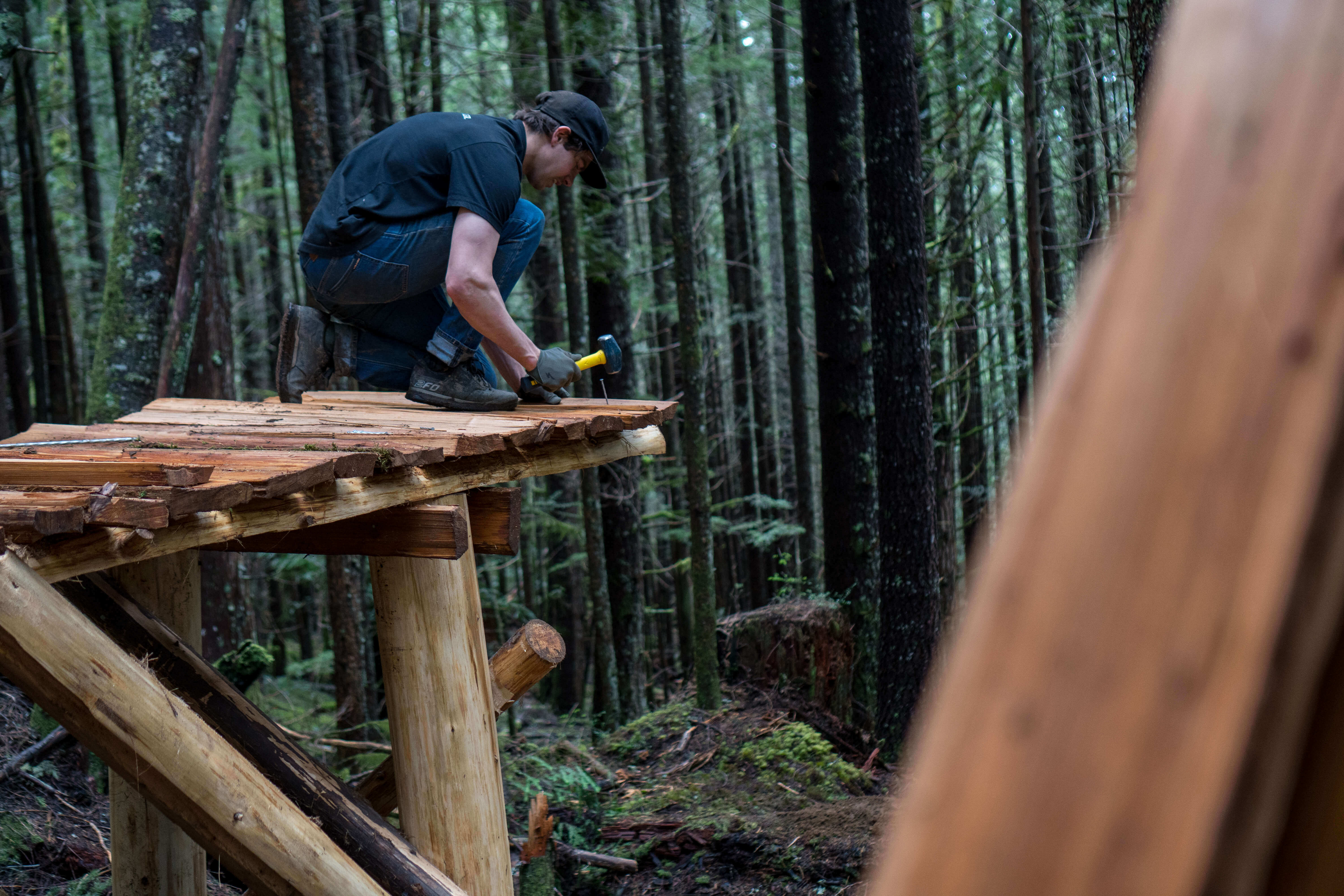 20 05 BC FreeRadicals 11