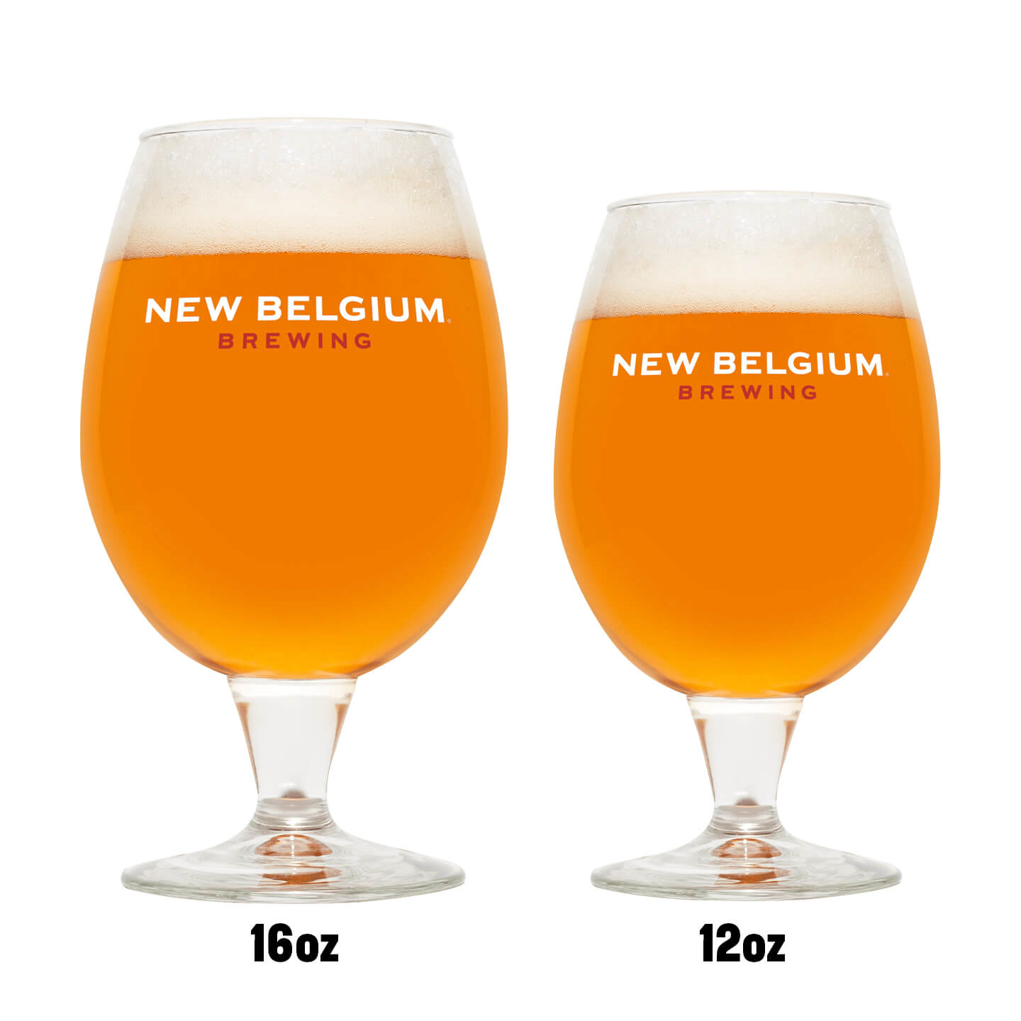 globe glass comparison 2