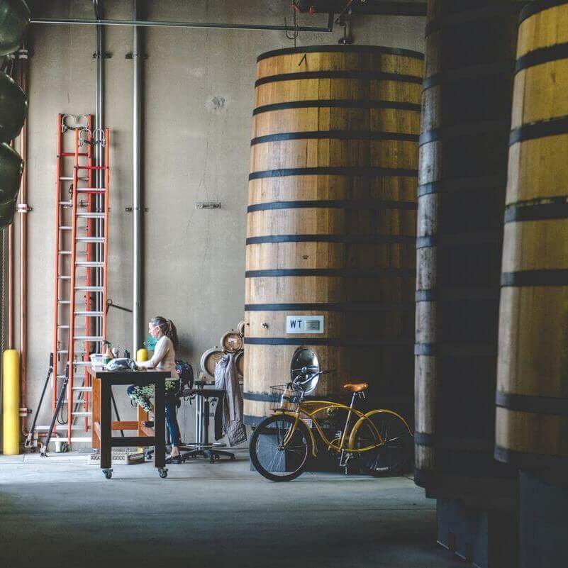 Medium JPG 16 01 FoederForest Lauren IMG 5557 square